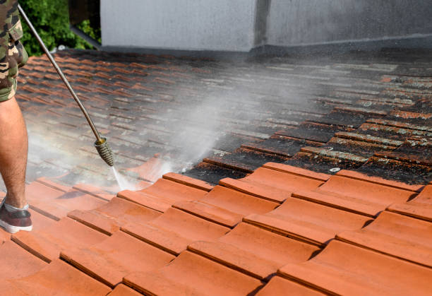 Best Pressure Washing Company Near Me  in Sebastian, TX